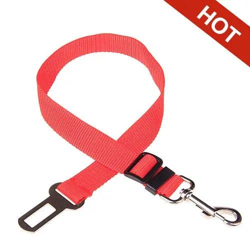 SafeTravels: Car Safe Seat Belt Leash for Secure Pet Travel & Safety on the Move. - Ghostspetpalace.com