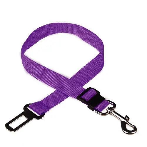 SafeTravels: Car Safe Seat Belt Leash for Secure Pet Travel & Safety on the Move. - Ghostspetpalace.com