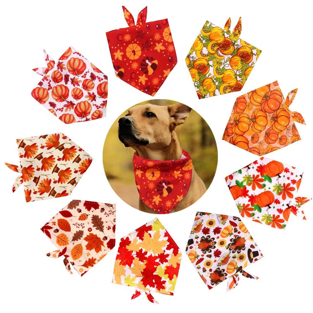 Fall Dog Bandana - Ghostspetpalace.com