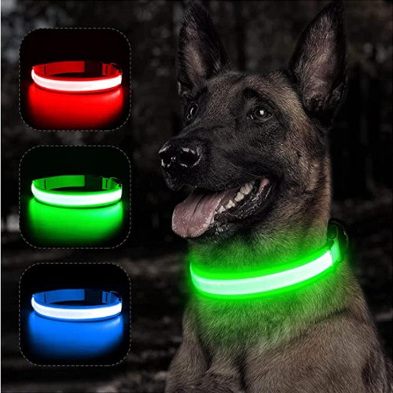 Radiant Rover: Glow in the dark Collar for Nighttime Adventures - Ghostspetpalace.com