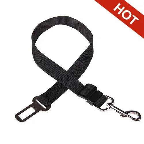 SafeTravels: Car Safe Seat Belt Leash for Secure Pet Travel & Safety on the Move. - Ghostspetpalace.com